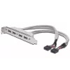 Cable con placa de ranura USB 2.0 HighSpeed Type 2xIDC (5pin)/4xUSB A M/H gris 0,25 m