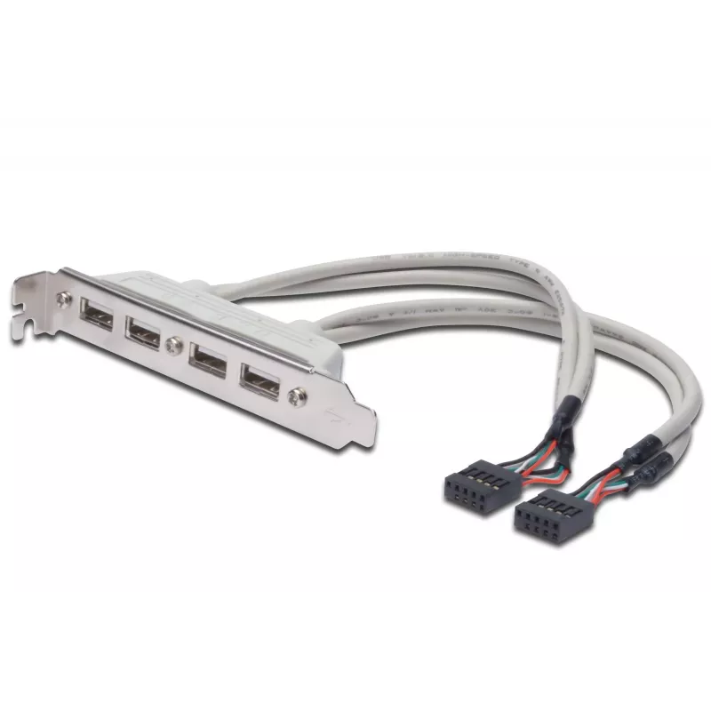 Cable con placa de ranura USB 2.0 HighSpeed Type 2xIDC (5pin)/4xUSB A M/H gris 0,25 m