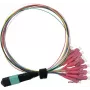 Value 21.99.1100 cable de fibra óptica 2 m MPO 12x LC OM4 multicolor (21.99.1100)
