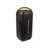 BLOW DJBOX 30-392# altavoz Bluetooth 250 W con mando a distancia y micrófono, USB, microSD, AUX, TWS, batería integrada, negro