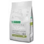 NATURE'S PROTECTION Superior Care White Dogs Grain Free Junior Small Fish pienso seco para perros 10 kg