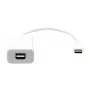 Cable USB-C a Mini DisplayPort ProXtend USBC-MINIDP-0002W, 20 cm, blanco
