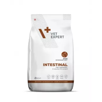 VET EXPERT Veterinary Diet Intestinal Dog - pienso para perros - 2 kg