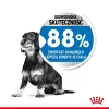 Royal Canin CCN MINI LIGHT WEIGHT CARE - Pienso seco para perros adultos - 3 kg