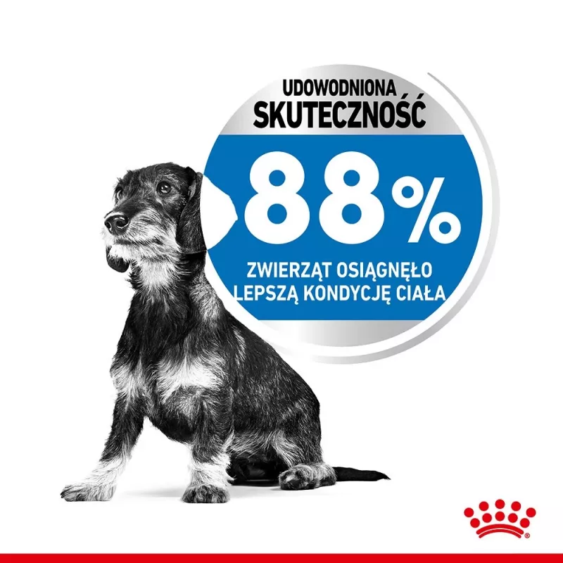 Royal Canin CCN MINI LIGHT WEIGHT CARE - Pienso seco para perros adultos - 3 kg