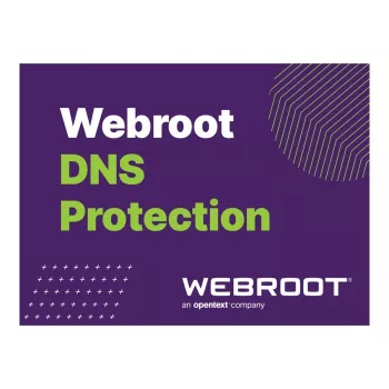 Webroot | DNS Protection with GSM Console | 1 año(s) | Cantidad de licencias 10-99 usuarios