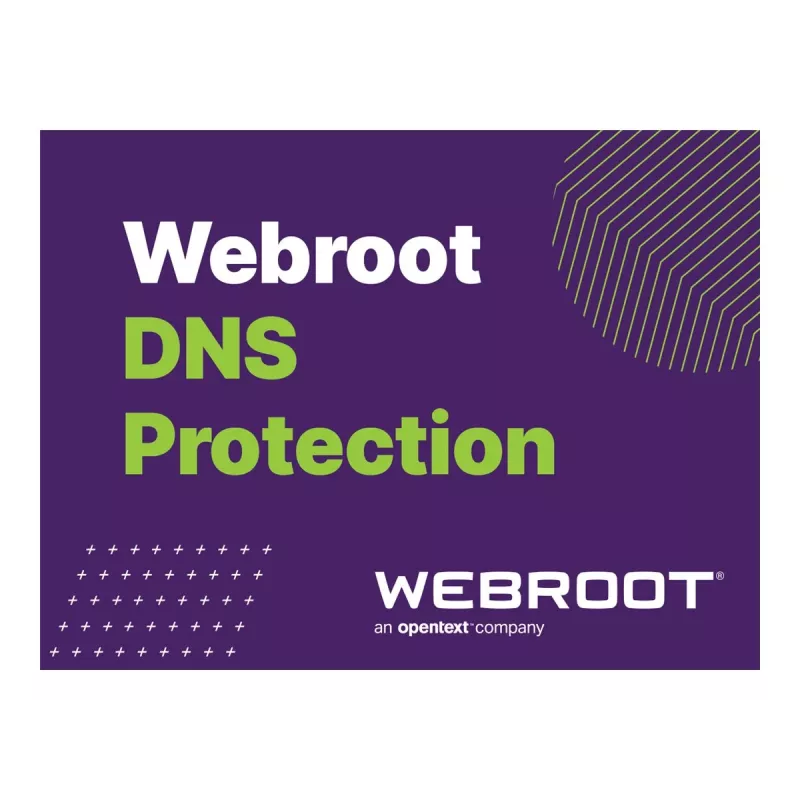 Webroot | DNS Protection with GSM Console | 1 año(s) | Cantidad de licencias 10-99 usuarios