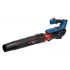 Soplador de hojas Blaupunkt CB4010