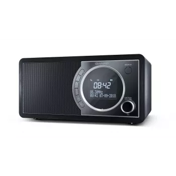 Radio digital Sharp DR-450 – negro, personal, digital, DAB, DAB+, FM, 87,5 – 108 MHz, 174,928 – 239,2 MHz, 3 W