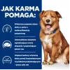 HILL'S PD Canine Derm Complete - comida húmeda para perros - 370g