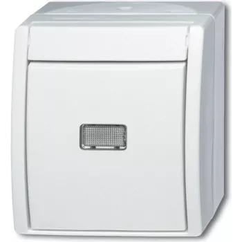 BUSCH JAEGER 2601/6 WGL-54 - 1P - blanco - 250 V - 10 A - 74 mm - 55 mm