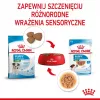ROYAL CANIN SHN Mini Puppy en salsa - Comida húmeda para cachorros - 12X85g