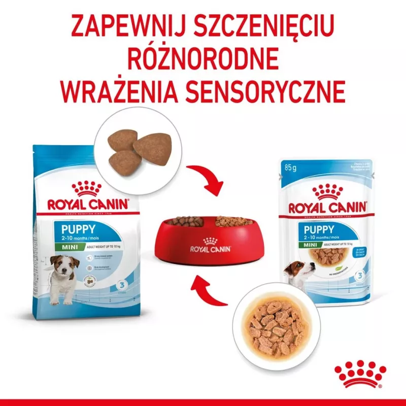 ROYAL CANIN SHN Mini Puppy en salsa - Comida húmeda para cachorros - 12X85g