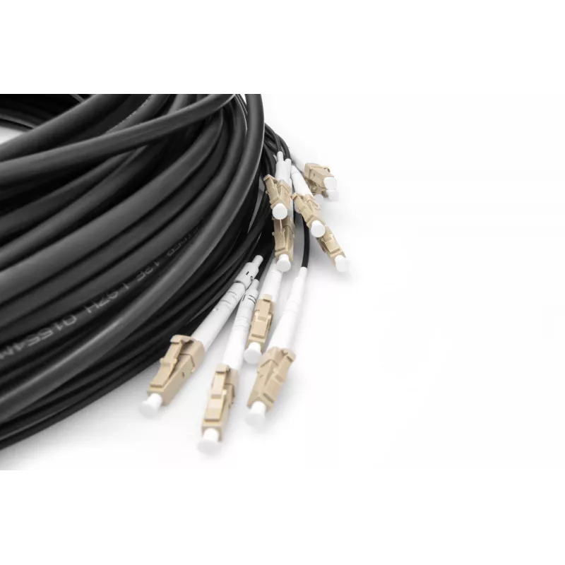 Cable breakout Digitus DK-2433CU030BK-BBB 30 m OM4 12 fibras LC/UPC