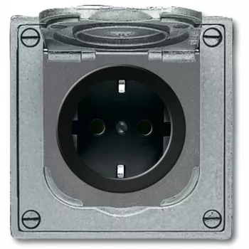 BUSCH JAEGER BJ 20 EFDB2 toma de corriente con protección infantil y tapa abatible empotrable gris