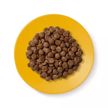 Comida seca para gatos Applaws Senior Chicken — sin cereales / sin gluten 2 kg bolsa, 36,5 % proteína, para gatos mayores