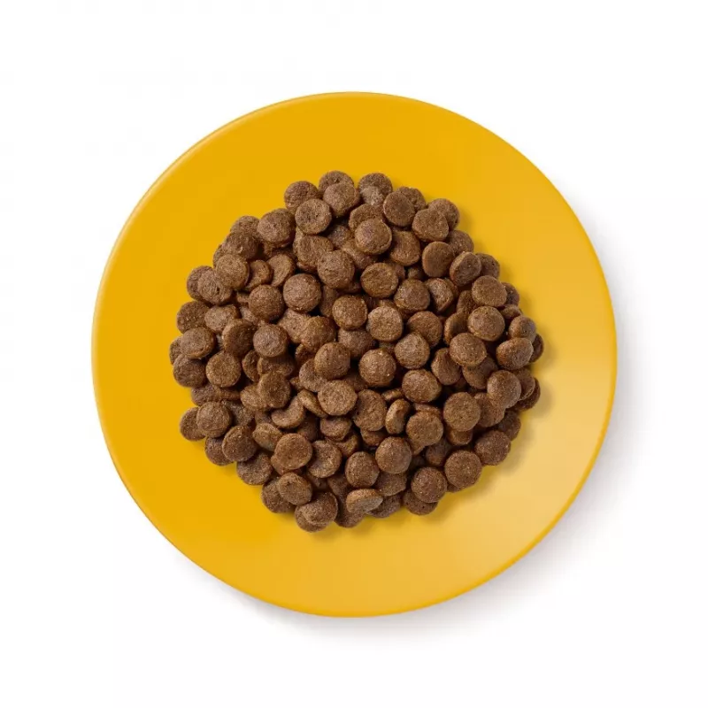 Applaws Senior con pollo, comida seca para gatos, 2 kg
