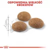 Royal Canin Outdoor comida seca para gatos 2 kg
