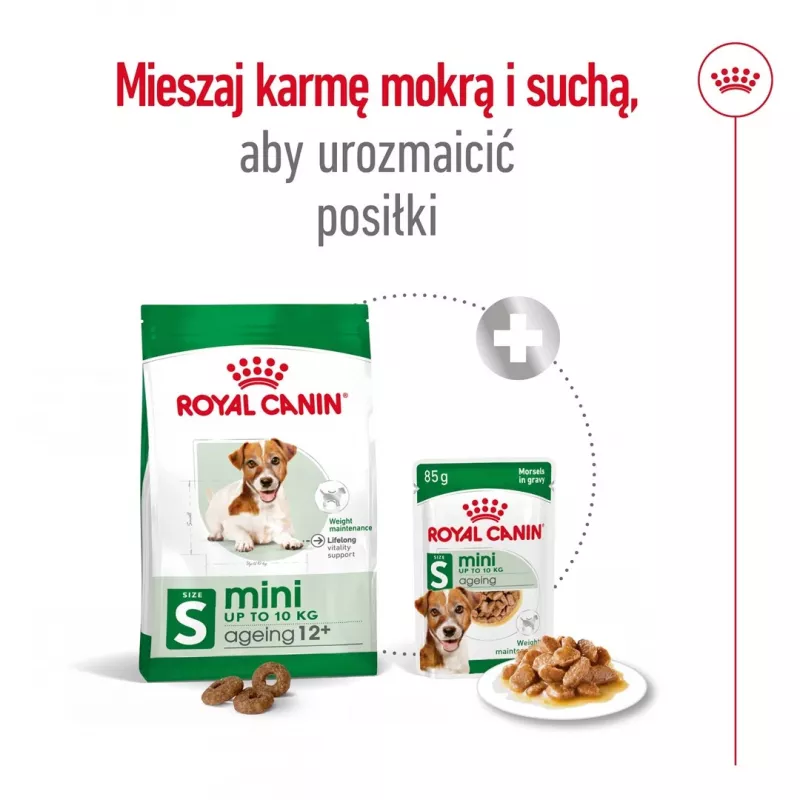 ROYAL CANIN Mini Ageing Adult +12 - Pienso para perros - 3,5 kg