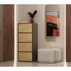 Cómoda ALMA, antracita/roble artisan