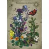 Puzle Ravensburger Circle of Life Butterfly 1000 piezas
