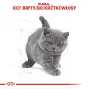 Pienso para gatos Royal Canin British Shorthair Kitten 2 kg — Pollo, 38 % proteínas, 20 % grasas, fórmula de crecimiento