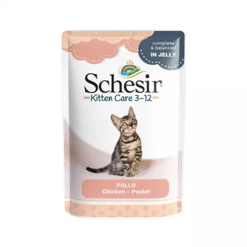 SCHESIR filetes de pollo en gelatina - Comida húmeda para gatitos - 85 g