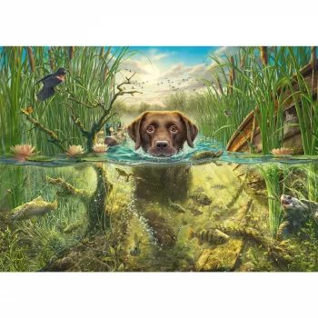 Mark Fredrickson: dog love - labrador marrón en agua fría, puzzle 1000 piezas