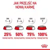 Royal Canin SHN Mini Puppy pienso para cachorros, 4 kg