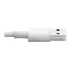 Eaton Tripp Lite Series cable USB-A a Lightning de sincronización/carga (M/M) - certificado MFi, blanco, 6 ft. (1,8 m) - cable de datos/alimentación - USB macho a Lightning