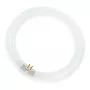 Lámpara fluorescente circular Osram L 40W/840 C G10Q blanco neutro T9
