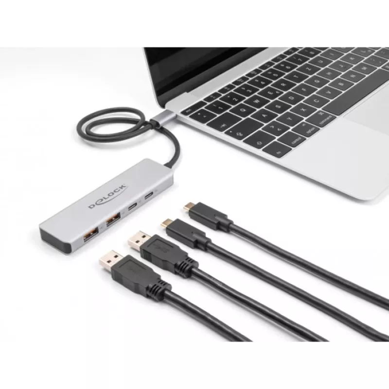 DeLOCK hub USB Type-C 10 Gbit/s 2x Type-A 2x Type-C cable de 35 cm
