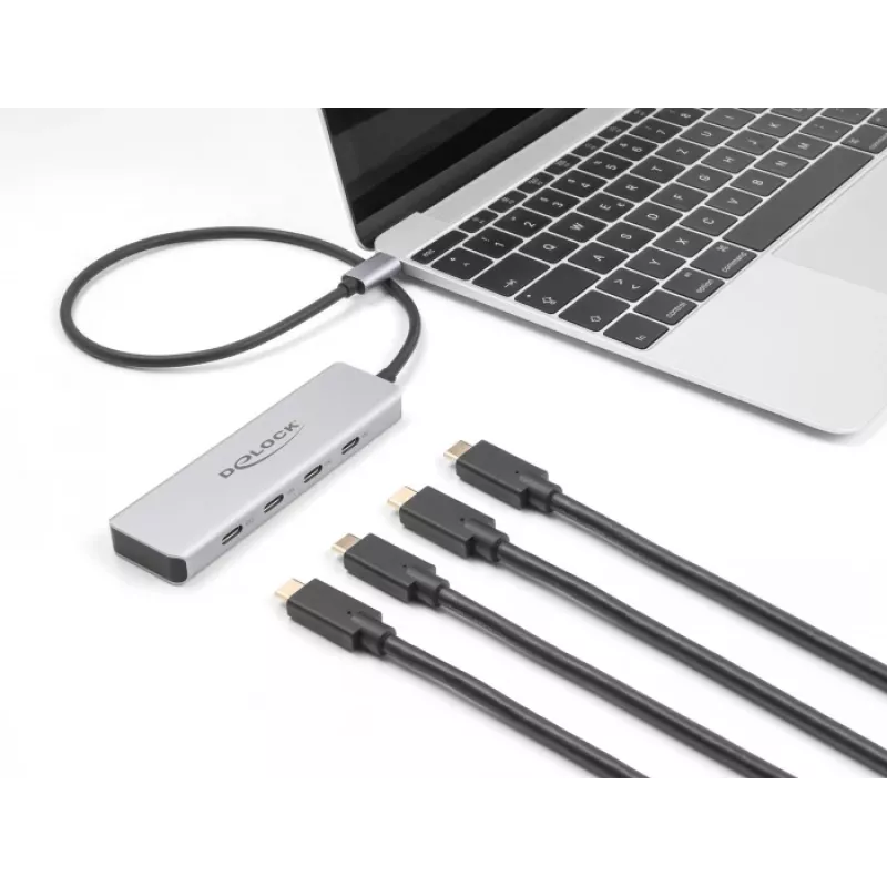 DeLOCK Hub USB Type-C 10 Gbps 4 puertos Aluminio Gris