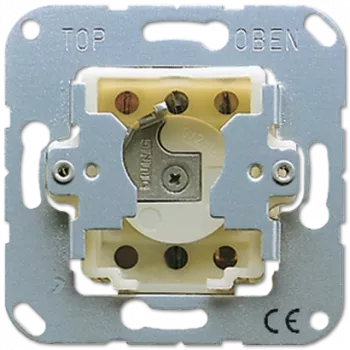 JUNG 134.28 - Interruptor de llave - 2P - Metálico - 250 V - 50 - 60 Hz - 10 A