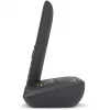 Teléfono analógico/DECT Gigaset C575A