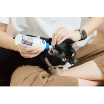 Solución de cuidado de oídos VIRBAC EPI-OTIC 125 ml – limpiador de oídos veterinario para perros y gatos