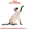 Royal Canin Siamese Adult pienso seco para gatos, 2 kg