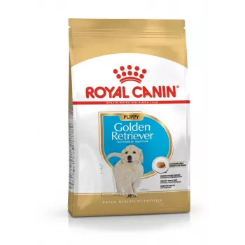 Pienso para perros Royal Canin Golden Retriever Junior 12 kg — Ave, 29 % proteínas, 16 % grasas