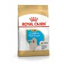 Royal Canin Golden Retriever Puppy pienso seco para perros, 12 kg