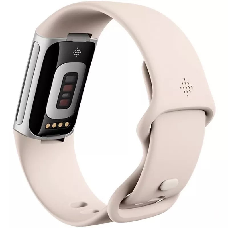 Fitbit GA05185-EU Producto Plata