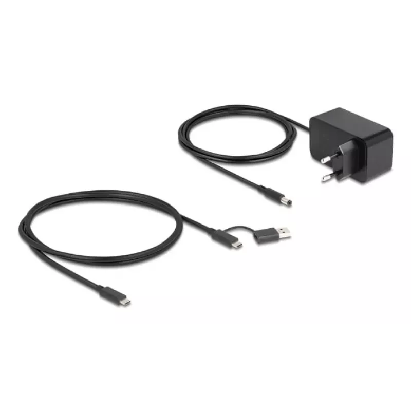 DeLOCK 64326 Hub de interfaz USB 3.2 Gen 2 (3.1 Gen 2) Type-C 10000 Mbit/s Negro