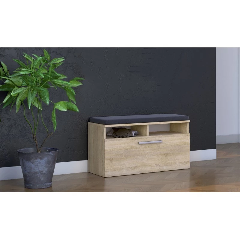 Top e Shop RIVA SZAFKA SONOMA organizador de zapatos cerrado, roble