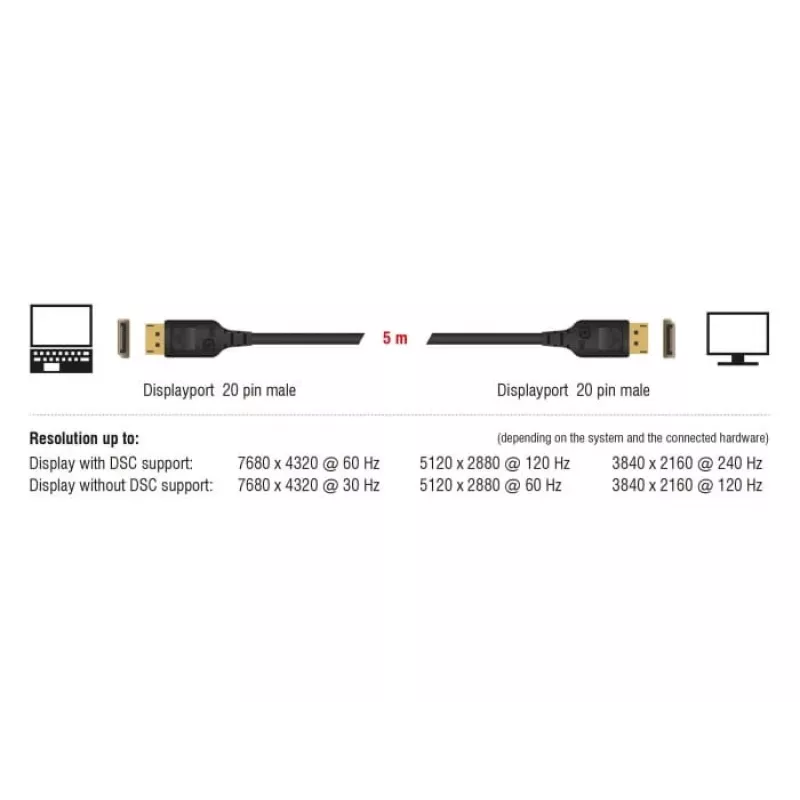 Cable DisplayPort DeLOCK 85661 3 m Negro