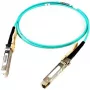 Cable InfiniBand/fibra óptica Cisco SFP-25G-AOC10M= 10 m SFP28 conector macho/conector macho