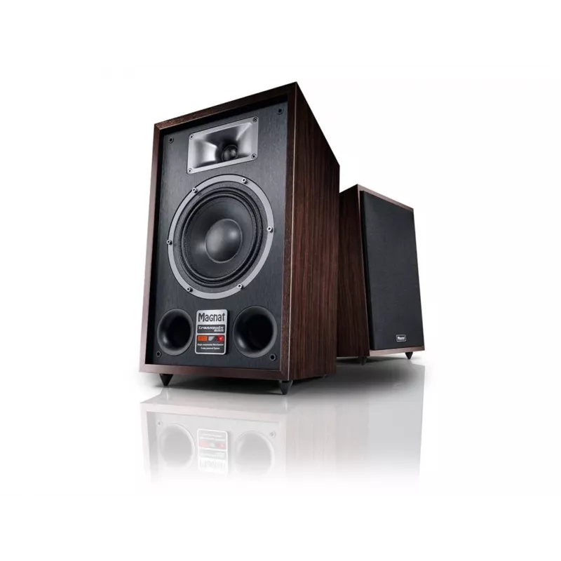 Altavoz de suelo Magnat TRANSPULS 800A 2 vías con cable e inalámbrico 2×60 W, Bluetooth 5.0, HDMI, negro/marrón