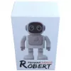 Altavoz Bluetooth ALLNET Robert con control por app – modelo Robert