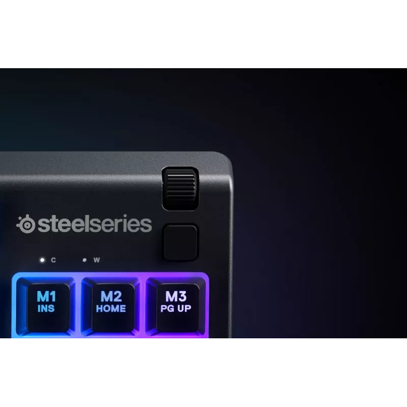 Teclado Steelseries APEX 3 TKL USB QWERTY US English negro