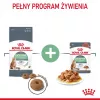 Royal Canin Digestive Care Adult pienso seco para gatos, 10 kg, pescado, aves, arroz, verduras
