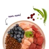 BOSCH Sanabelle Adult Ostrich & Blueberries - pienso seco para gatos - 2 kg