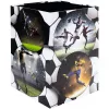 Papelera HERMA Football 19739